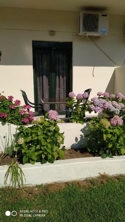 Dream House Lejlighed Agia Paraskevi  Eksteriør billede